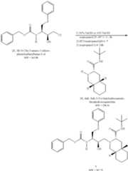 Figure US06303786-20011016-C00075