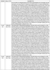 Figure BDA0003627552160002391