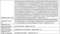 Figure BDA0002222959720000182