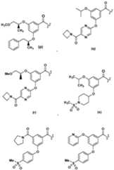 Figure imgf000010_0001