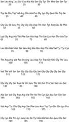 Figure IDA0004177795620000091