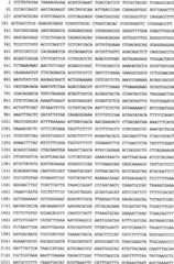 Figure BPA0000291811450000751