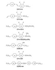 Figure 2024079817000096