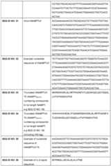 Figure imgf000029_0001