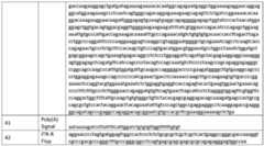 Figure imgf000068_0001