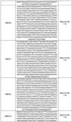 Figure imgf000113_0001