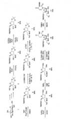 Figure 0007016170000007