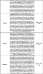 Figure imgf000111_0001