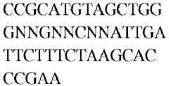 Figure imgb0364