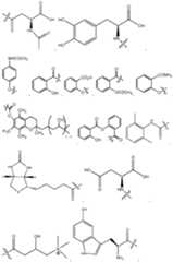 Figure imgf000048_0001