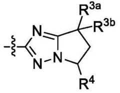 Figure BDA0002731674970000222