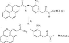 Figure A20041000278600201