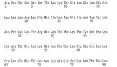 Figure 109130857-A0202-12-0422-661