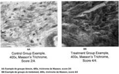 Figure R1020097013332