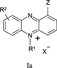 Figure BPA00001263293900241