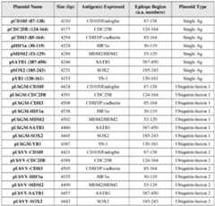 Figure imgf000212_0001