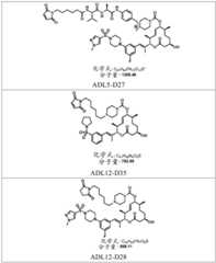 Figure BDA0002808063770002931