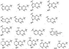 Figure imgf000034_0001