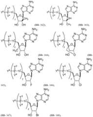 Figure imgf000161_0001