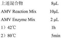 Figure BDA0002370378860000082