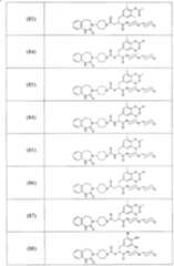 Figure A2006800095860021C1