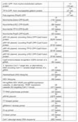 Figure imgf000009_0001