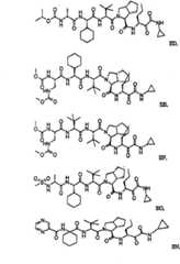 Figure BSA00000606821200771