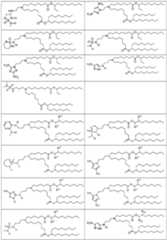 Figure imgf000014_0001