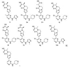 Figure 109117157-A0101-13-0012-104