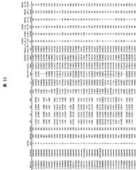 Figure 2022033877000117