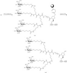 Figure US09957292-20180501-C00306