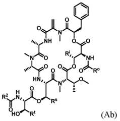 Figure imgf000072_0002