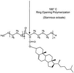 Figure imgf000033_0002