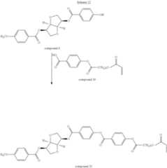 Figure US08388860-20130305-C00027