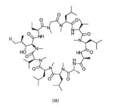 Figure imgf000032_0001