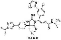 Figure BDA0002446516750001722