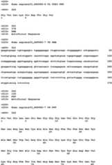 Figure imgb0185