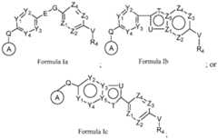 Figure imgf000005_0003