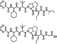 Figure G2009101493490D01383