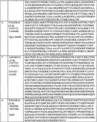 Figure BPA0000175368630000281