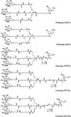 Figure imgf000062_0001