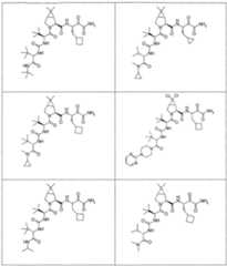 Figure imgf000221_0001