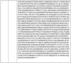 Figure imgf000164_0001