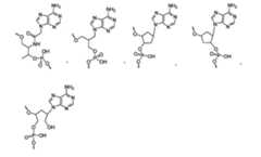 Figure 110128808-A0202-12-0059-338