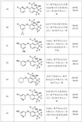 Figure PCTCN2021100491-appb-000018
