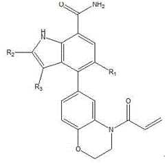 Figure 703366DEST_PATH_IMAGE001