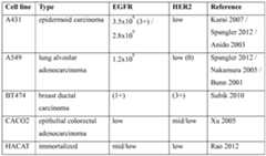 Figure imgf000095_0001
