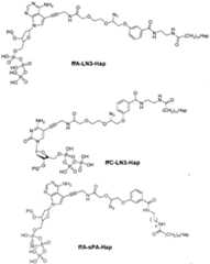 Figure imgf000041_0001