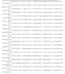 Figure imgf000044_0002