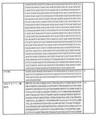 Figure 0007438604000016